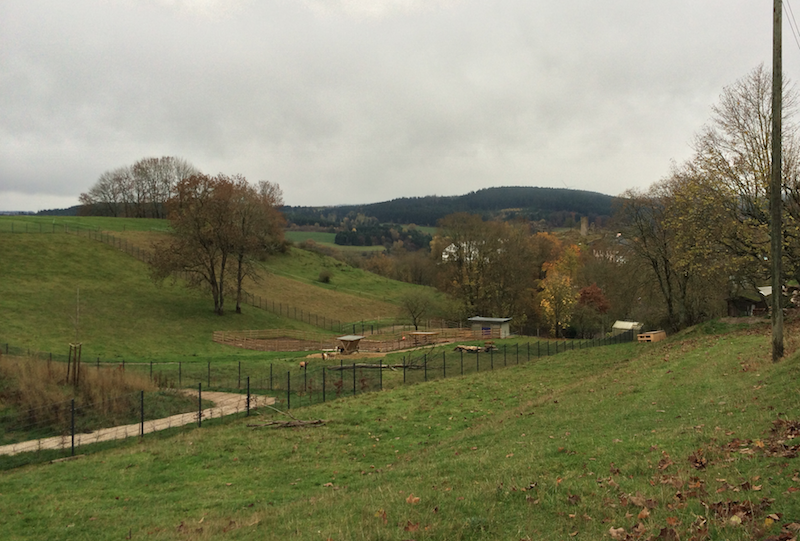 Holiday picture from the Eifel region. Kronenburg castle, small, in the middle.