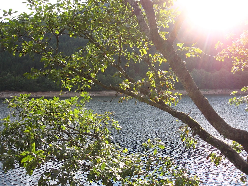 https://reinout.vanrees.org/images/2026/lac-de-kruth4.jpg