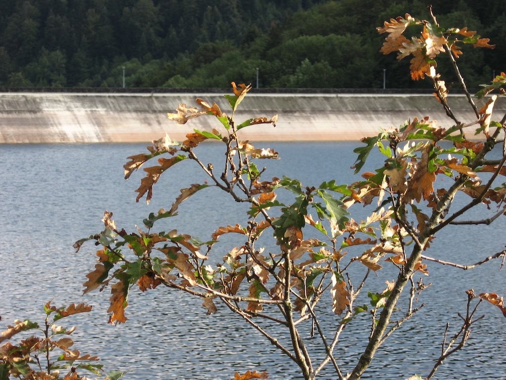 https://reinout.vanrees.org/images/2026/lac-de-kruth5.jpg